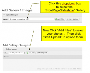 AddingPhotos